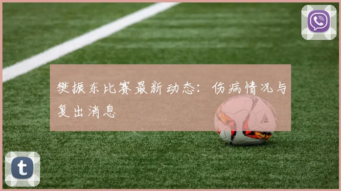 樊振东比赛最新动态：伤病情况与复出消息