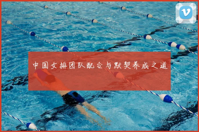 中国女排团队配合与默契养成之道