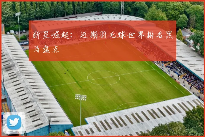 新星崛起：近期羽毛球世界排名黑马盘点