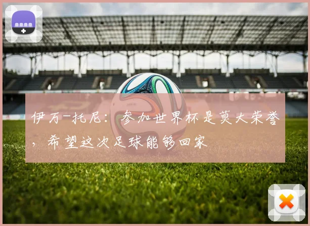 伊万-托尼:参加世界杯是莫大荣誉,希望这次足球能够回家