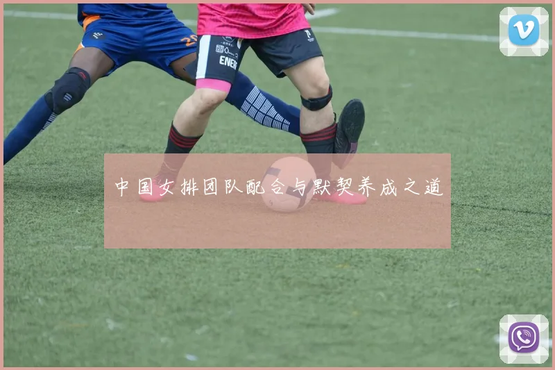 中国女排团队配合与默契养成之道
