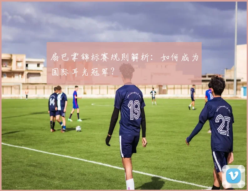 扇巴掌锦标赛规则解析：如何成为国际耳光冠军？