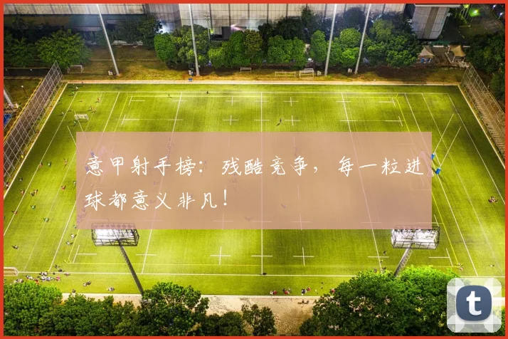 意甲射手榜:残酷竞争,每一粒进球都意义非凡!