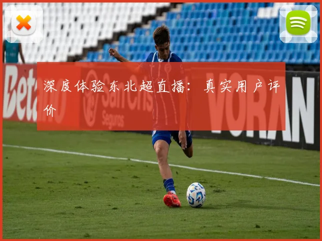 深度体验东北超直播:真实用户评价