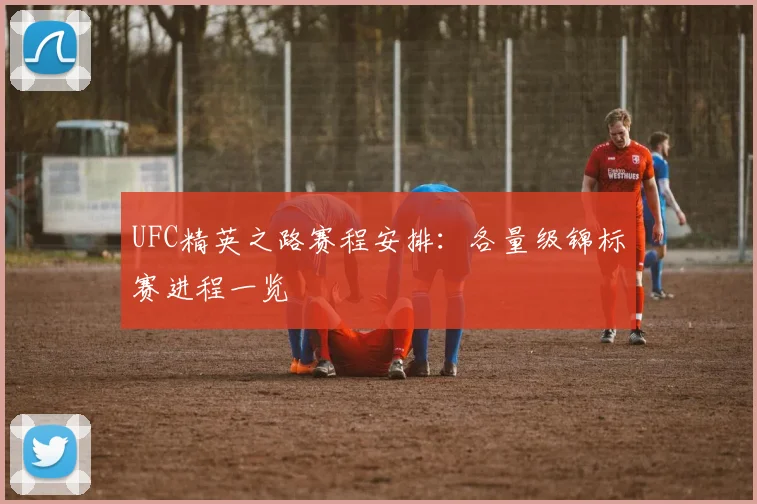 UFC精英之路赛程安排:各量级锦标赛进程一览