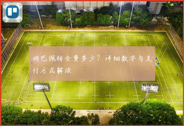 姆巴佩转会费多少?详细数字与支付方式解读