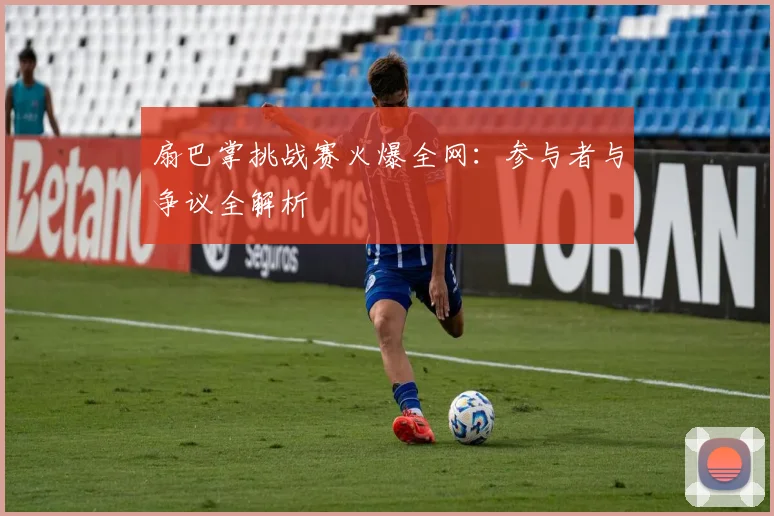 扇巴掌挑战赛火爆全网:参与者与争议全解析