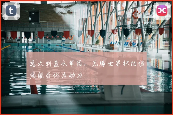 意大利蓝衣军团,无缘世界杯的伤痛能否化为动力